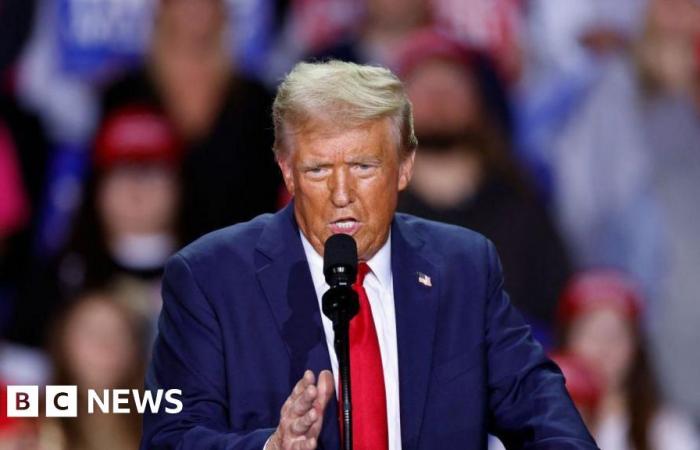 Donald Trump esorta la Corte Suprema degli Stati Uniti a ritardare il divieto di TikTok