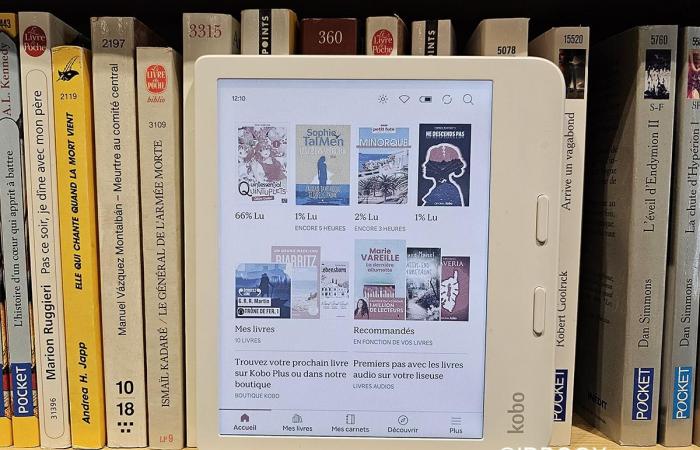 Le migliori letture digitali su Kobo nel 2024 in Francia