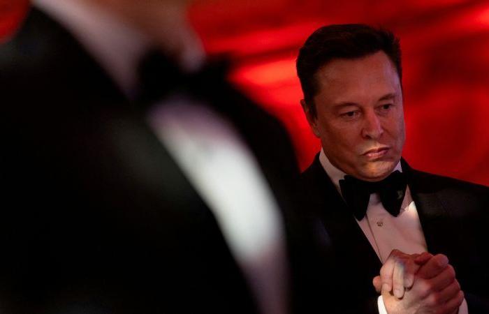 Gli oppositori del MAGA di Elon Musk affermano che lui li ha privati ​​dei loro badge X