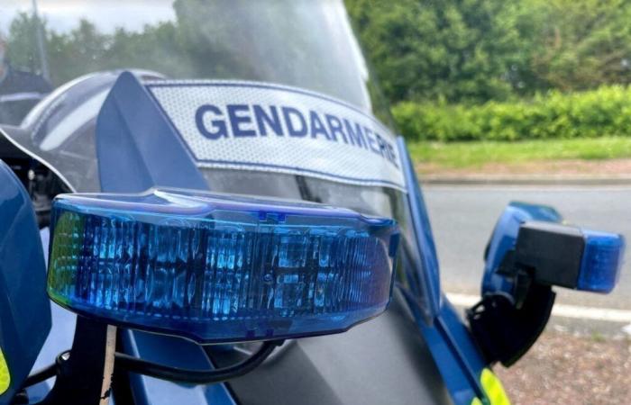 un camionista lituano aggredisce 7 persone nelle aree di sosta dell’autostrada A4