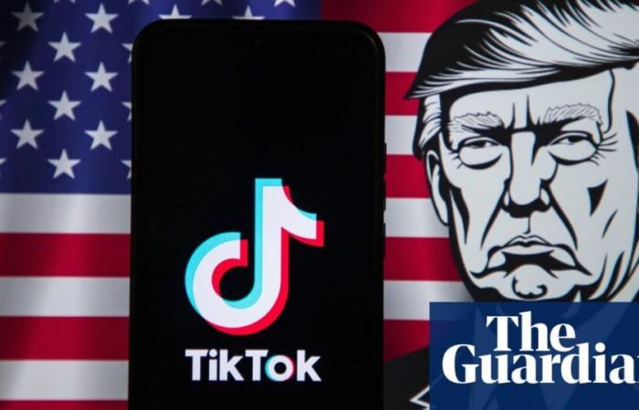 Trump chiede alla Corte Suprema degli Stati Uniti di sospendere la legge sul divieto o il disinvestimento di TikTok | TikTok