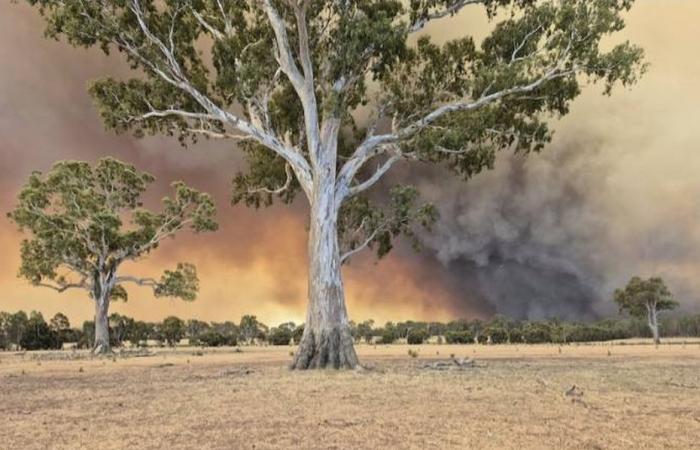 le autorità chiedono l’evacuazione di decine di località