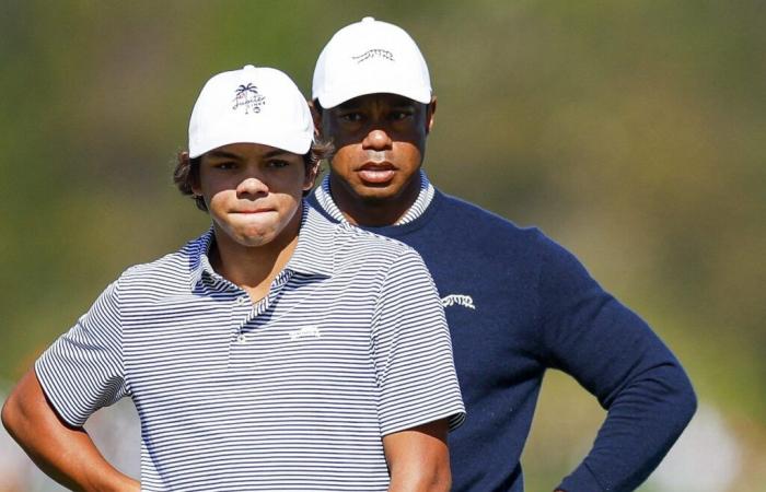 Le imprese del padre e del figlio di Woods aumentano notevolmente il pubblico