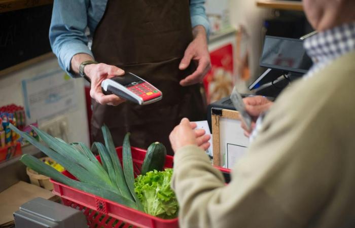 Filtri energetici, plastica, buoni pasto… Cosa cambierà dal 1° gennaio 2025