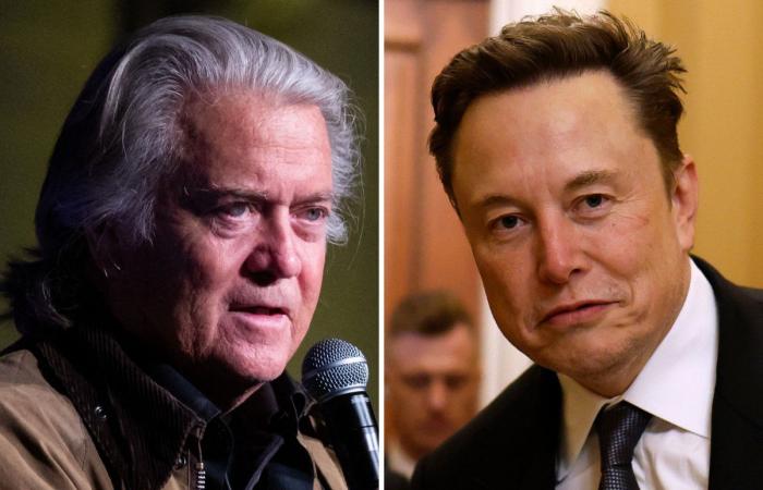 Steve Bannon prende in giro Elon Musk nella guerra dei visti H-1B: ‘Toddler’