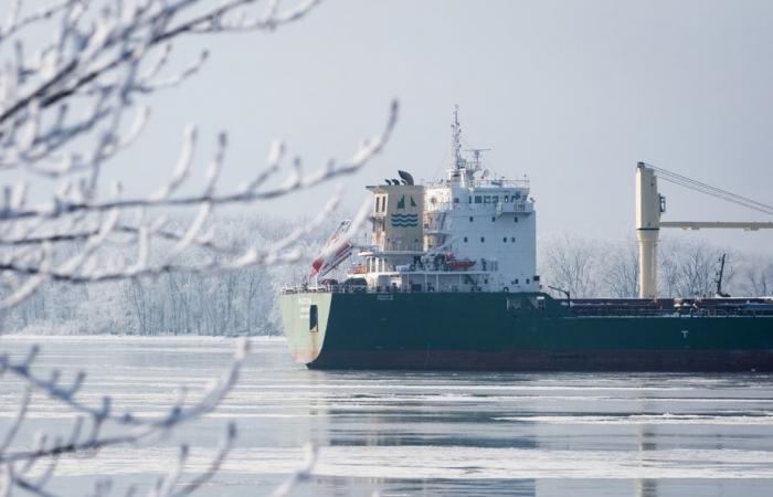 Nave arenata vicino a Verchères | Lo scarico è rinviato a sabato