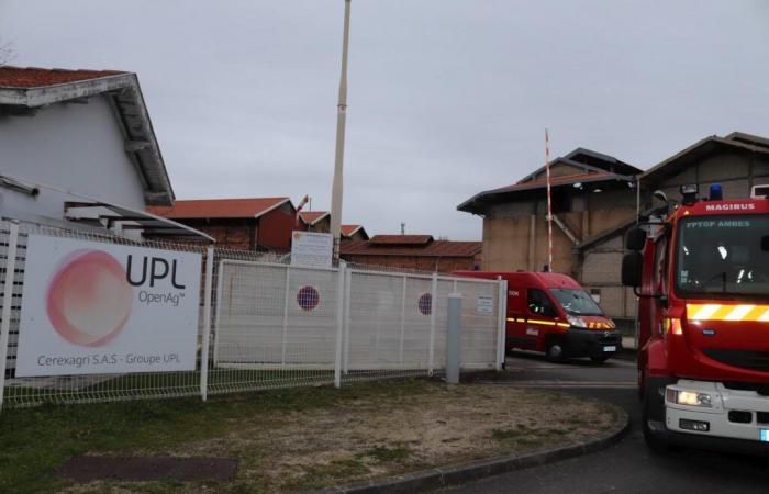 Vicino Bordeaux, un incendio colpisce lo stabilimento Cerexagri, classificato Seveso