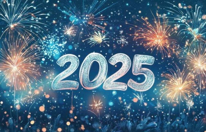 Ecco tutto ciò che cambierà nel 2025 in Francia!