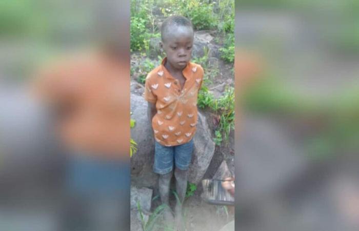 “Un vero miracolo”: un bambino sopravvive 5 giorni in un parco nazionale con leoni nello Zimbabwe