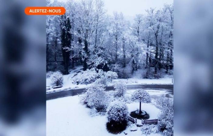 Parte del Belgio coperta di neve: si aspetta ancora qualche fiocco