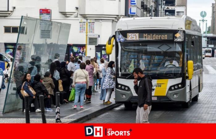 Autobus soppressi, nuovi numeri, orari modificati…: grandi cambiamenti da gennaio sulla rete De Lijn tra Bruxelles e Brabante (INFOGRAFIE)