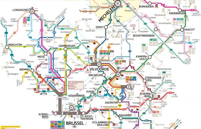 Autobus soppressi, nuovi numeri, orari modificati…: grandi cambiamenti da gennaio sulla rete De Lijn tra Bruxelles e Brabante (INFOGRAFIE)