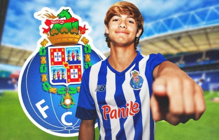 Queste 5 gemme che possono fruttare più di 300 milioni di euro al FC Porto!