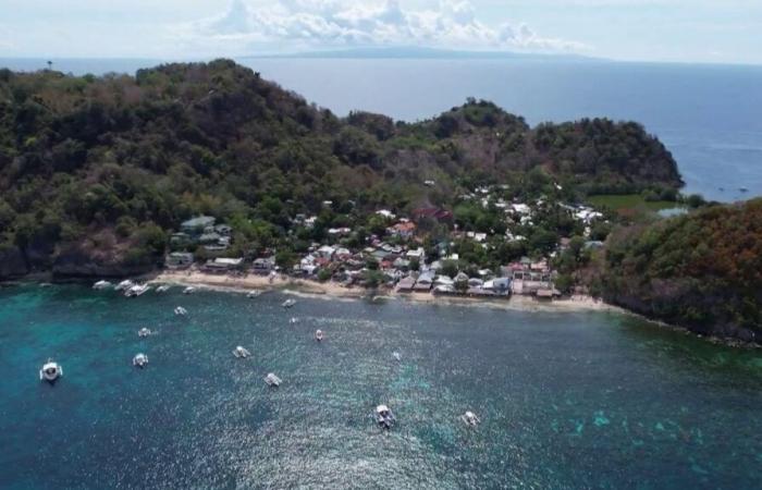 Apo Island, il gioiello non inquinato dell’arcipelago