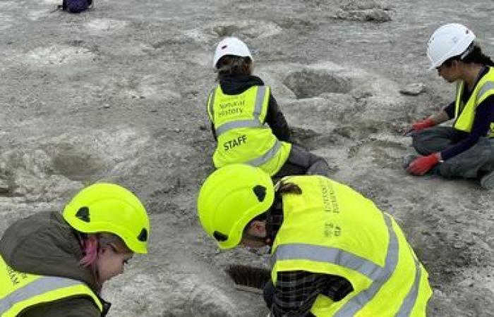 Quasi 200 impronte di dinosauri scoperte in una cava del Regno Unito