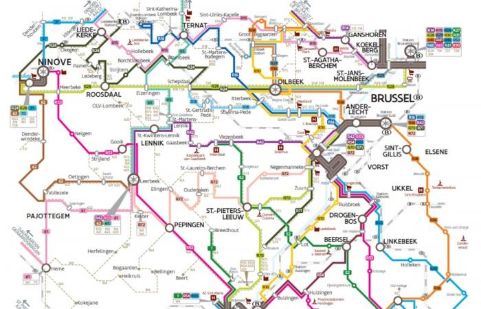 Autobus soppressi, nuovi numeri, orari modificati…: grandi cambiamenti da gennaio sulla rete De Lijn tra Bruxelles e Brabante (INFOGRAFIE)