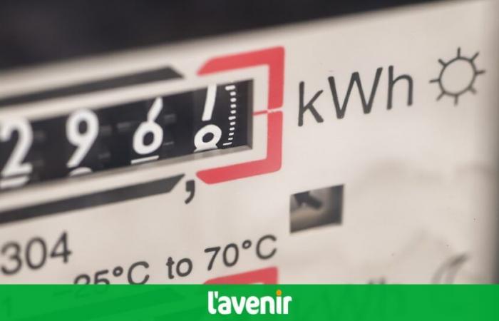 69,7 euro per MWh nel 2024: il prezzo medio dell’elettricità in Belgio è quasi quattro volte inferiore rispetto al 2022