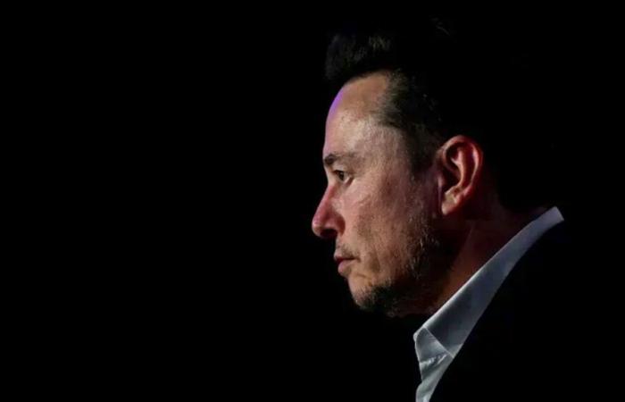 Elon Musk ancora una volta si immischia in ciò che non è affar suo