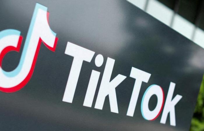 su TikTok, un influencer lancia un appello per attaccare gli oppositori del regime algerino in Francia