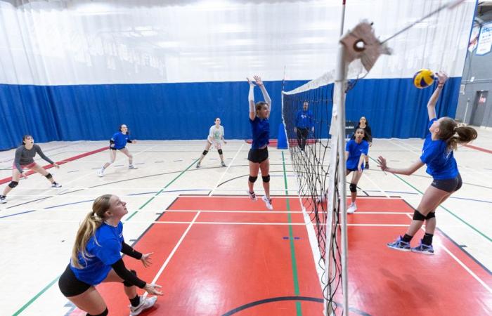 Pallavolo Québec | Uno sport in buone mani