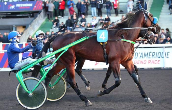 Venerdì al Vincennes-Prix Hersilie: Una formidabile coalizione italiana