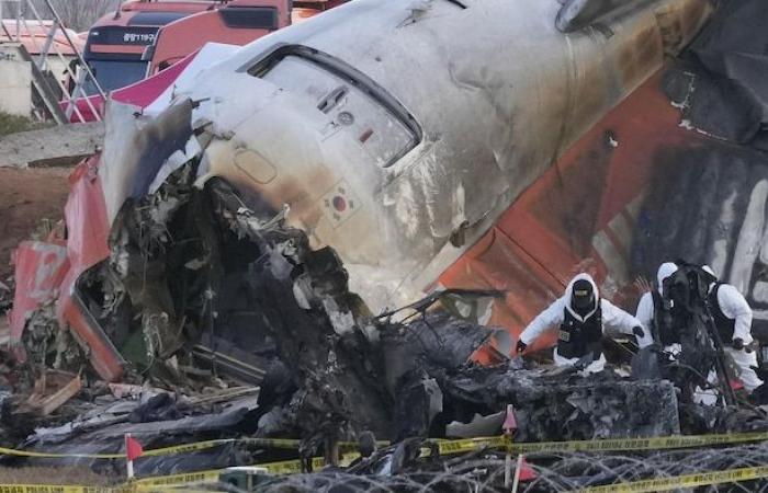 Incidente a Muan: al capo della Jeju Air è vietato lasciare la Corea del Sud