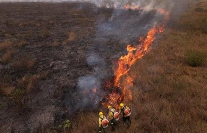 In Amazzonia record storico di incendi boschivi nel 2024