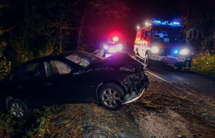 55 morti sulla strada nel 2024, rispetto ai 38 del 2023