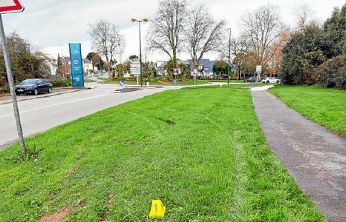 A Vannes, due giovani gravemente feriti dopo essere stati investiti deliberatamente da un’auto [Vidéo]