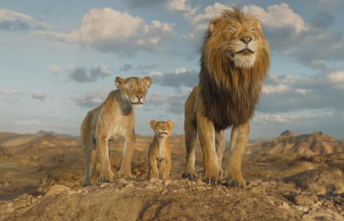 Mufasa, Sonic e Moana guadagnano milioni al botteghino francese