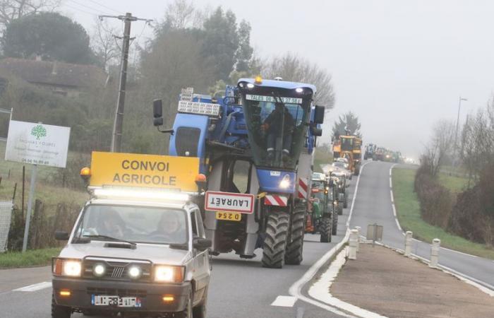 Retrospettiva 2024 nel Gers: di fronte alle difficoltà, l’agricoltura guascona ha espresso la sua rabbia