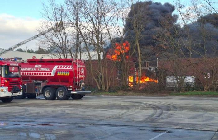 Grave incendio a Punch a Hamont: la polizia chiude le strade, pennacchio di fumo visibile da lontano (Hamont-Achel)