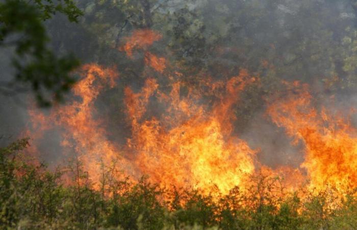 La liquidazione è obbligatoria dal 1° gennaio 2025: cosa c’è da sapere