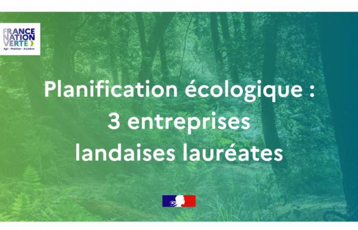 3 aziende delle Landes vincitrici del concorso AAP per l’industrializzazione effettiva dei prodotti in legno – Notizie – Notizie