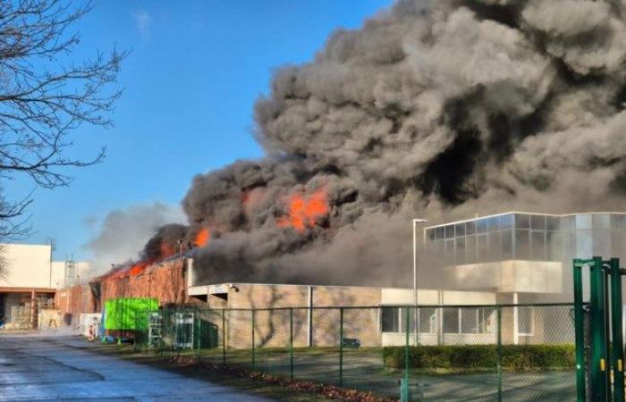 Grave incendio a Punch a Hamont: la polizia chiude le strade, pennacchio di fumo visibile da lontano (Hamont-Achel)