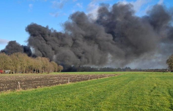 Grave incendio a Punch a Hamont: la polizia chiude le strade, pennacchio di fumo visibile da lontano (Hamont-Achel)