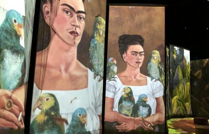 Matisse, Frida Kahlo, Colette… Cosa è possibile fare (o no) con le opere di questi artisti, divenute di pubblico dominio dal 1° gennaio