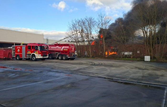 Grave incendio a Punch a Hamont: la polizia chiude le strade, pennacchio di fumo visibile da lontano (Hamont-Achel)