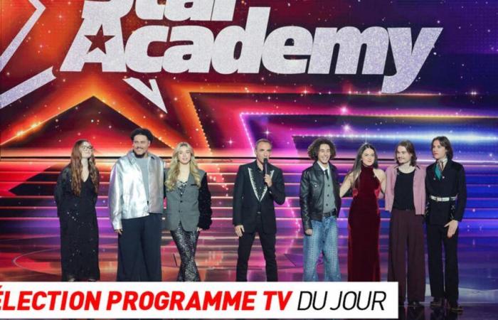 Star Academy, Lilli e il Vagabondo… cosa vedere stasera in tv?