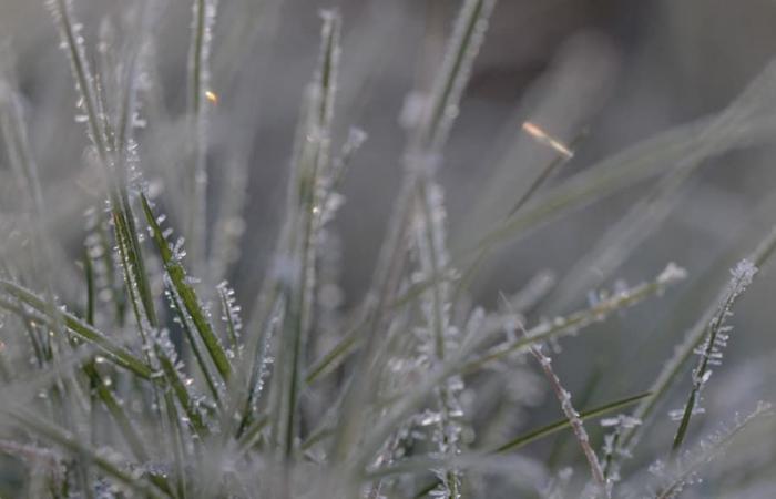 le temperature estreme registrate nella notte tra venerdì e sabato in Francia