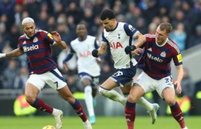 Il Tottenham impantanato nella crisi contro il Newcastle