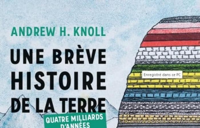 Philippe Besson, Barbara Israel, Frédéric Beigbeder, Marie Nimier… La selezione dei libri “Sud Ouest”