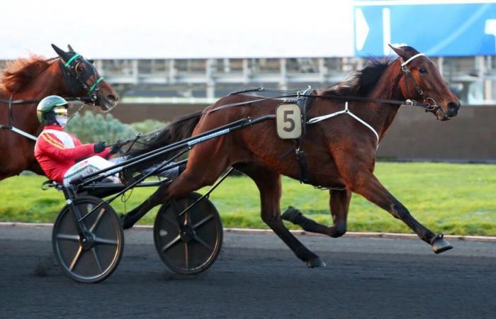 Prix ​​​​de Coucy-Le-Château 2025 a Vincennes: Lady Dada, ricevuto 3/3