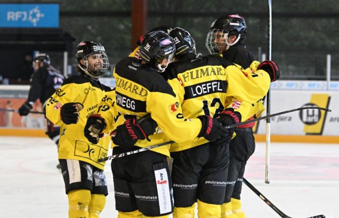 Vengono lanciati l’HCFM e Arnaud Schnegg