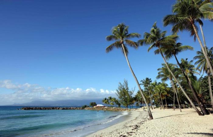 Le spiagge da cartolina sono destinate a scomparire in Guadalupa?