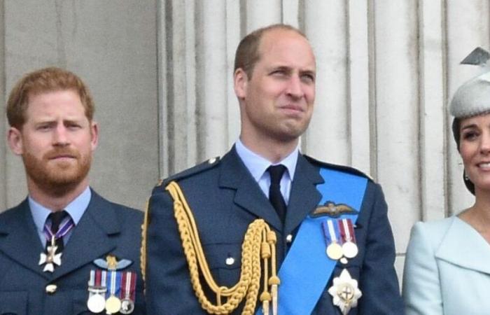 Principi William e Harry in lutto, un parente stretto della famiglia reale è morto in circostanze tragiche all’età di 31 anni