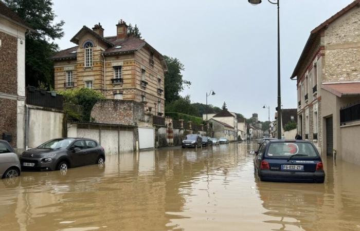 Inondazioni, un Briard ai Giochi Paralimpici… Cosa ha fatto notizia nel 2024 a La Ferté-Gaucher