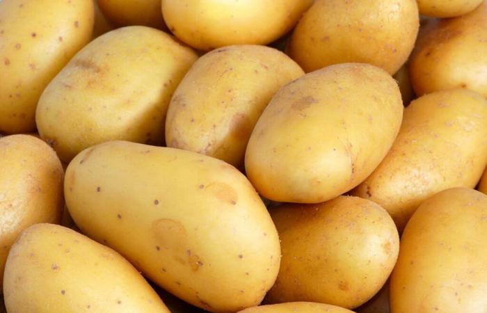 Carrefour, Intermarché, Super U…. Patate richiamate in tutta la Francia