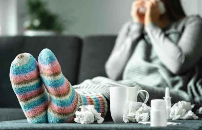 Covid, influenza, virus respiratori in aumento nei Paesi della Loira: come evitarli?