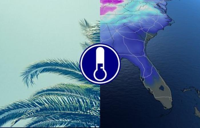 Il freddo attanaglia la Florida